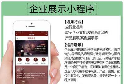 小程序定制開發、微信公眾號、推廣排名、吸粉